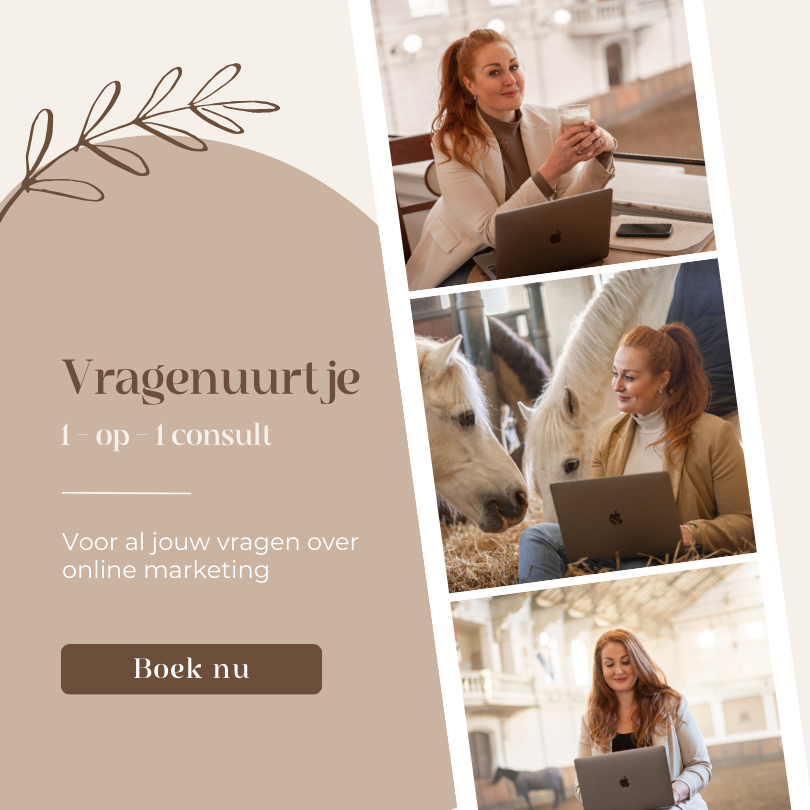 Vragen consult website online marketing ondernemer