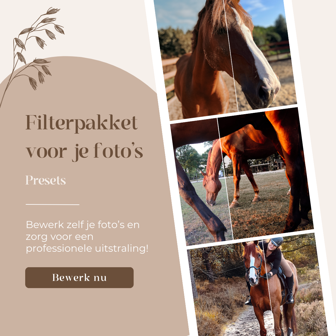 Foto Presets filters Instagram