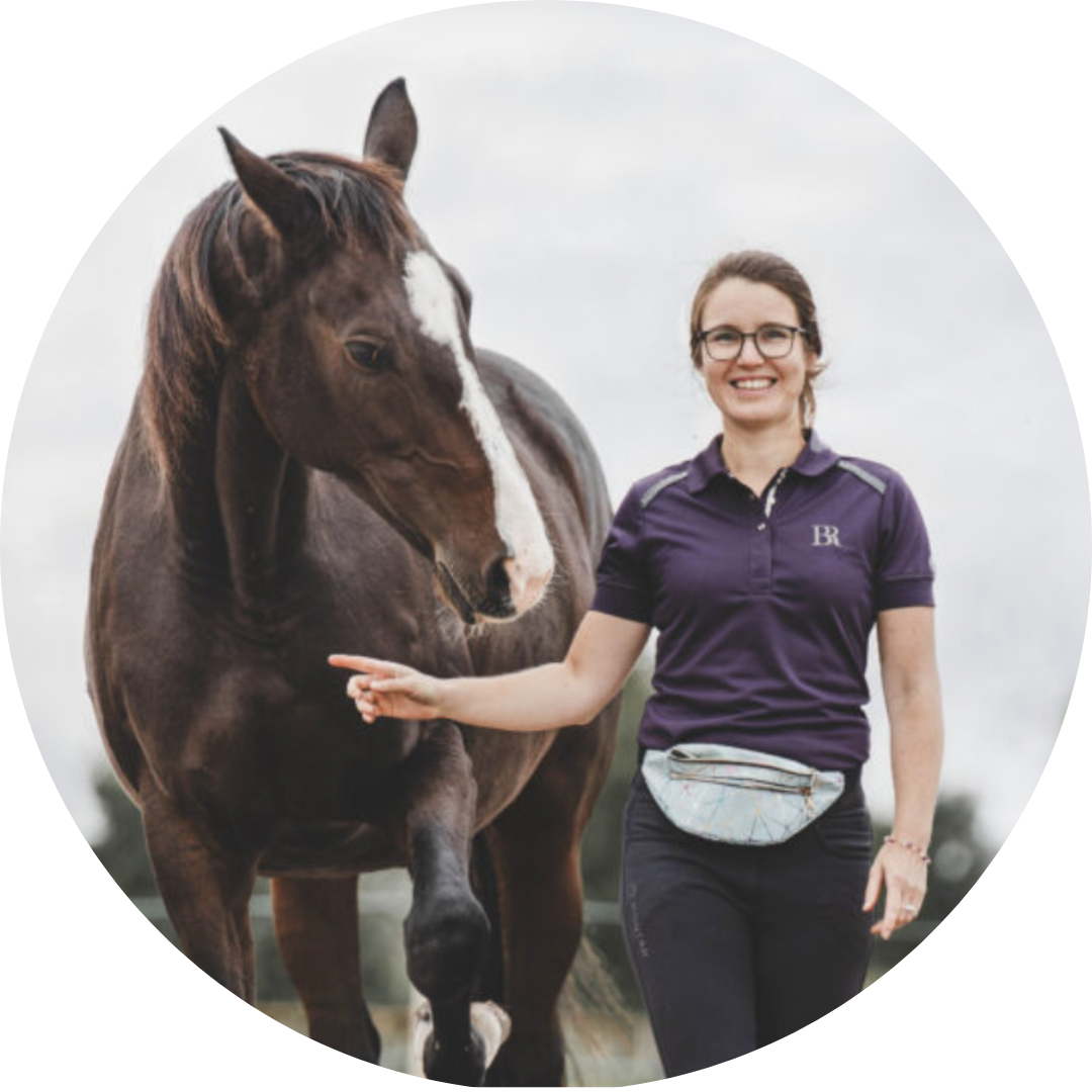 Lisa de paardenpartner logo