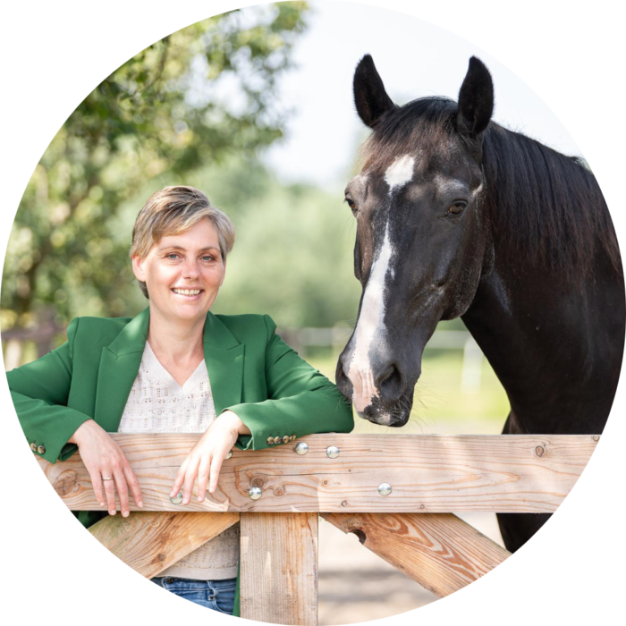 Letselsmid Social medie beheer Studio Equine