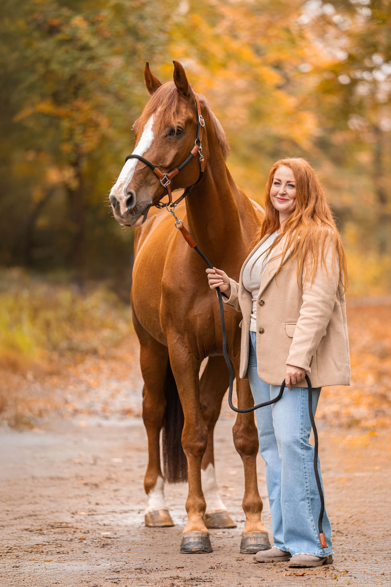 Studio Equine Online marketing en communicatie