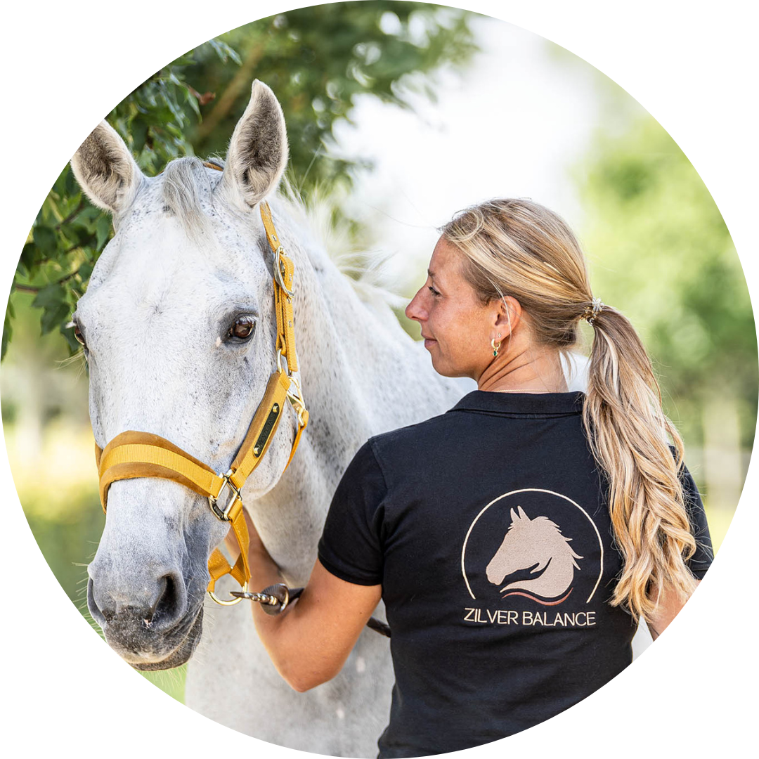Review zilver balance studio equine