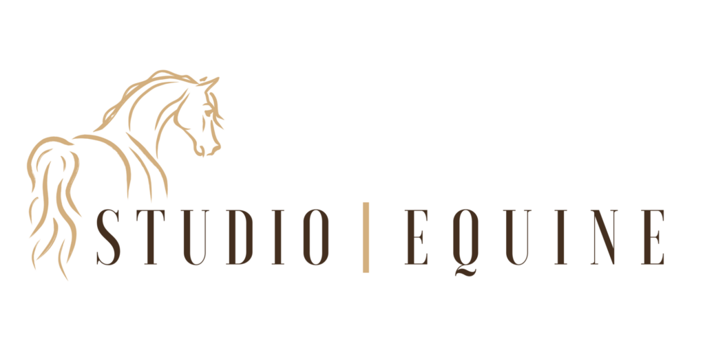 Online marketing en zichtbaarheid Studio Equine