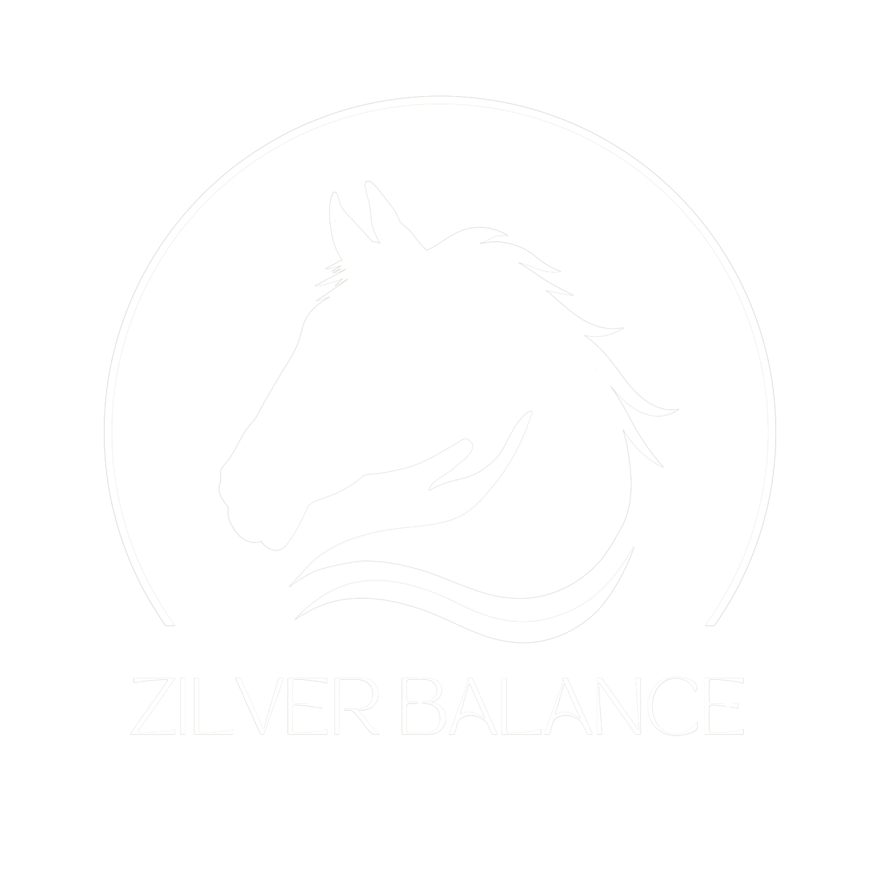 Zilver Balance 5 Groot