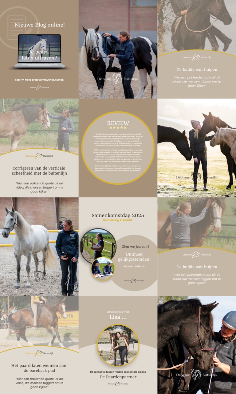 Voorbeeldfeed Dressuur Natuurlijk - 8