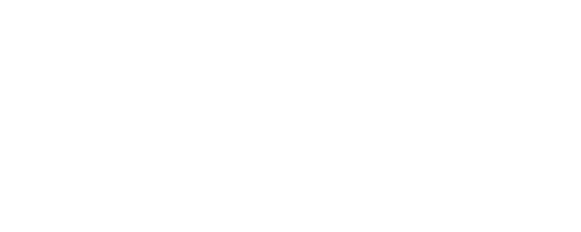Paard, Inspiratie en Coaching 2